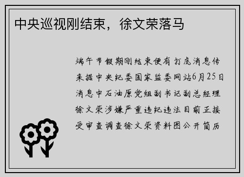 中央巡视刚结束，徐文荣落马