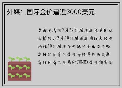 外媒：国际金价逼近3000美元