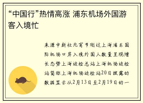 “中国行”热情高涨 浦东机场外国游客入境忙