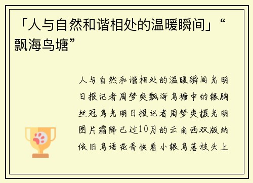 「人与自然和谐相处的温暖瞬间」“飘海鸟塘”